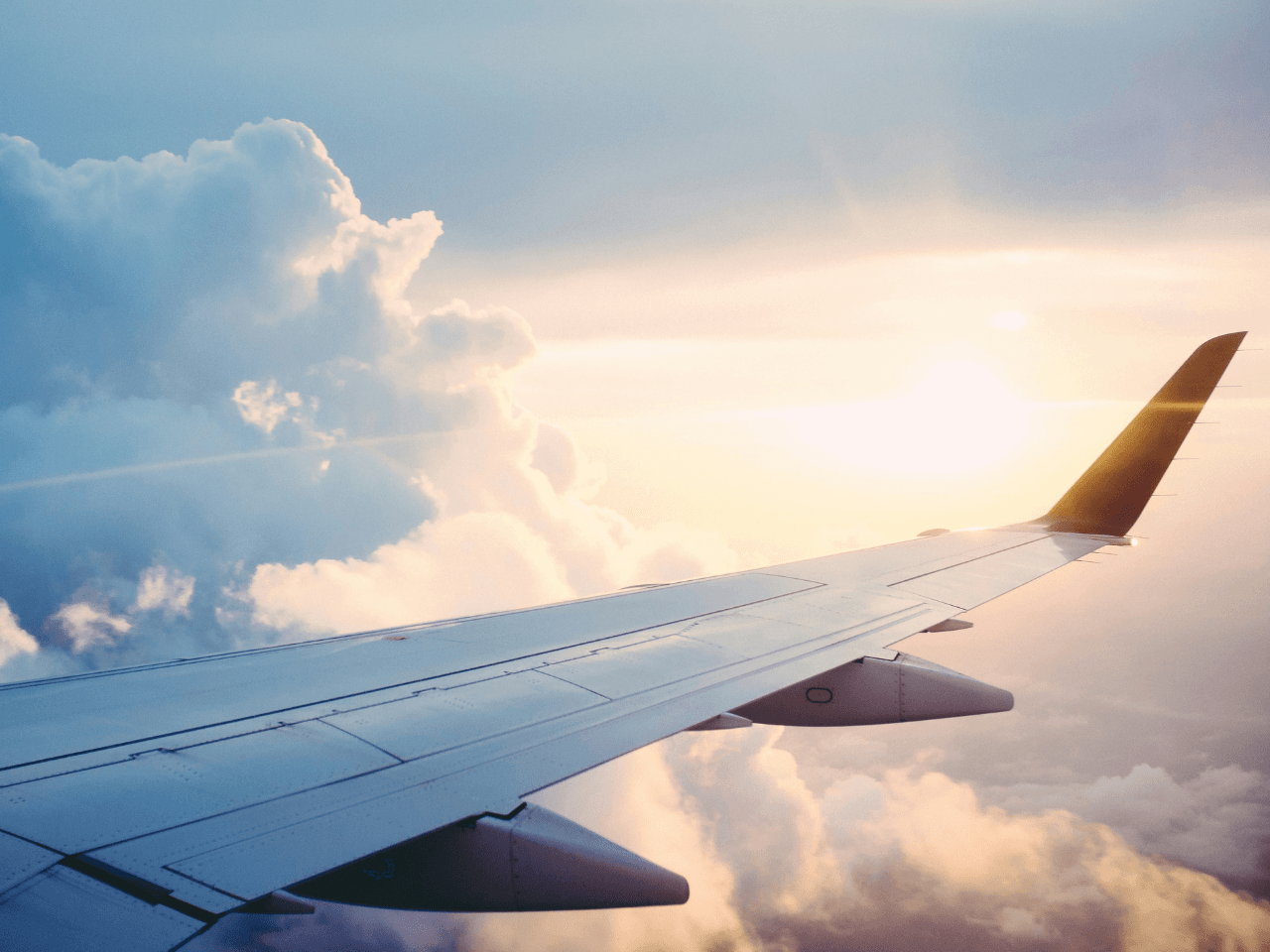 AIG Travel Insurance