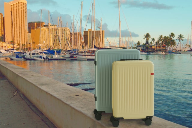 GOTRIP 24” suitcase in Steel Blue and a carry-on 20” suitcase in Pastel Yellow